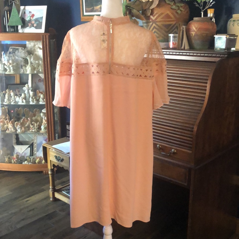 Express Peach Lace Midi Dress - Picture 10 of 15